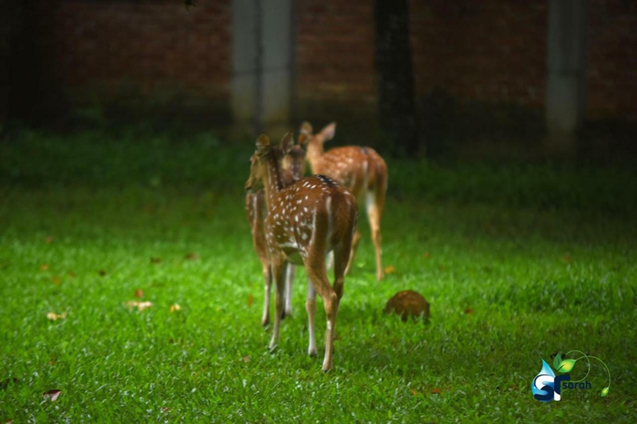 Sarah Resort Gazipur Exterior photo